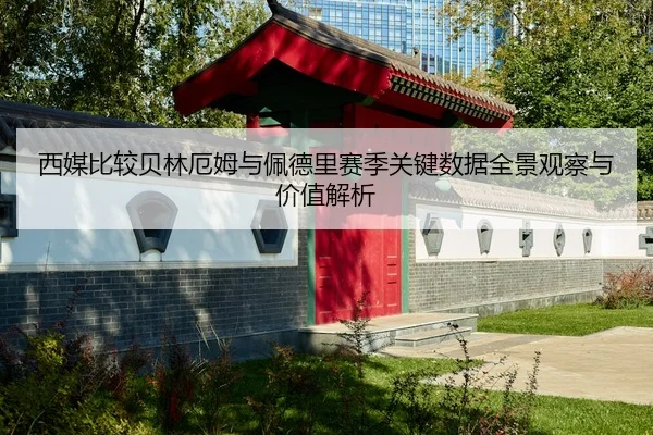 西媒比较贝林厄姆与佩德里赛季关键数据全景观察与价值解析